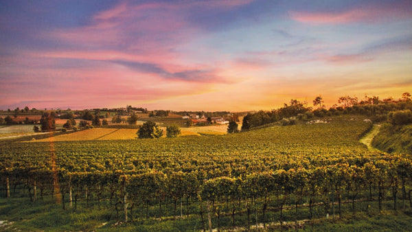 Weingut Cantina Bertagna