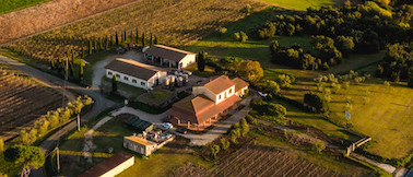 Weingut Poggio Argentiera