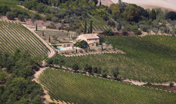 Weingut Caparzo