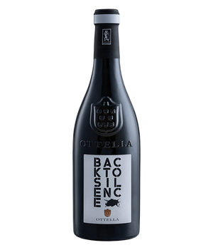 Back to Silence Lugana DOC · 0,75 l Normflasche · Magnum home & wine