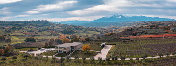 Weingut Collefrisio
