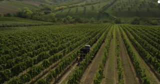 Weingut Fantini