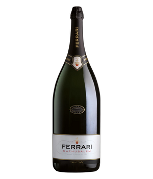 Ferrari Brut · Methusalem 6,0 l · Magnum home & wine