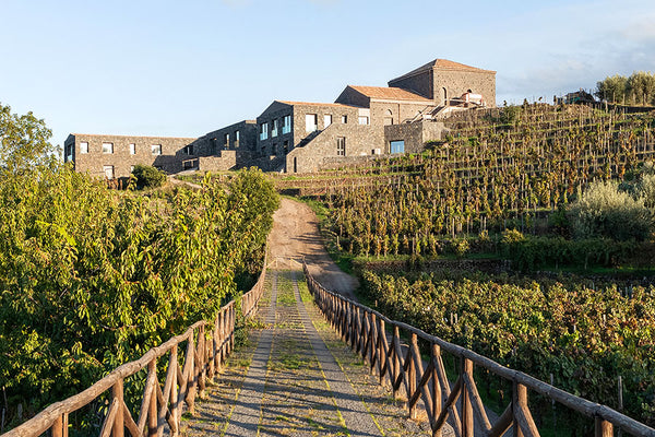 Weingut Palmento Costanzo