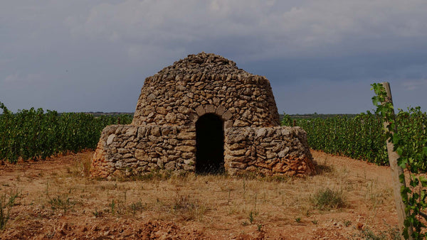 Weingut Masca del Tacco