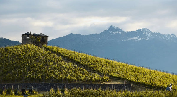 Weingut Les Crêtes