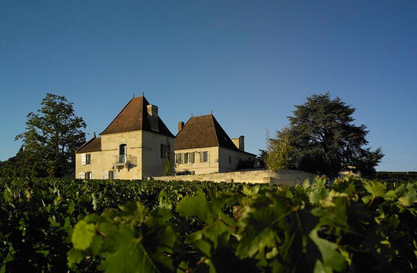 Weingut Chateau Bélair Monange
