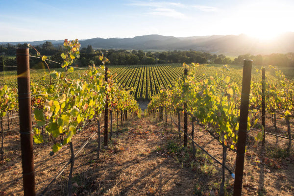 Weingut Robert Mondavi