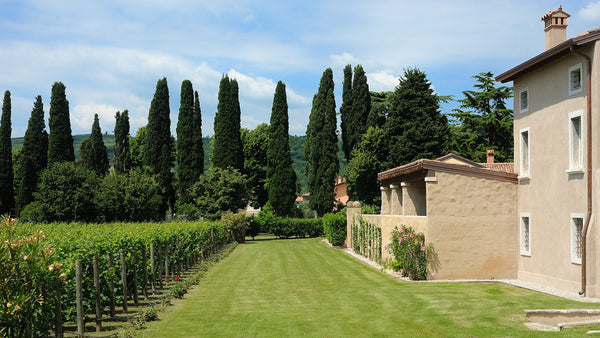 Weingut Pieropan