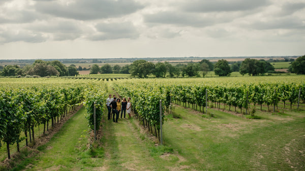 Weingut Gusbourne