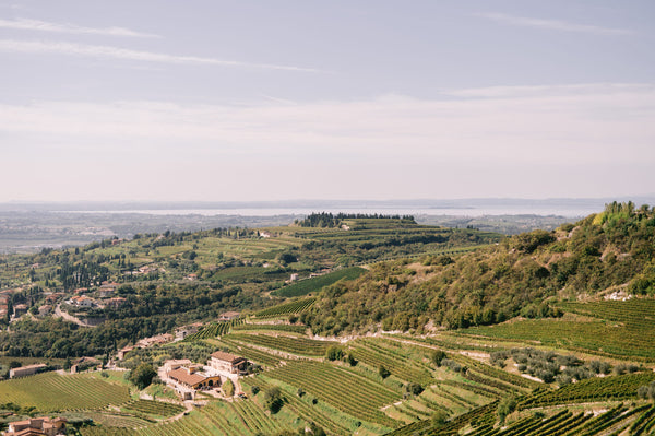 Weingut Allegrini