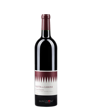 Fontodi Filetta Di Lamole Chianti Classico DOCG Bio bei Magnum home & wine Collections