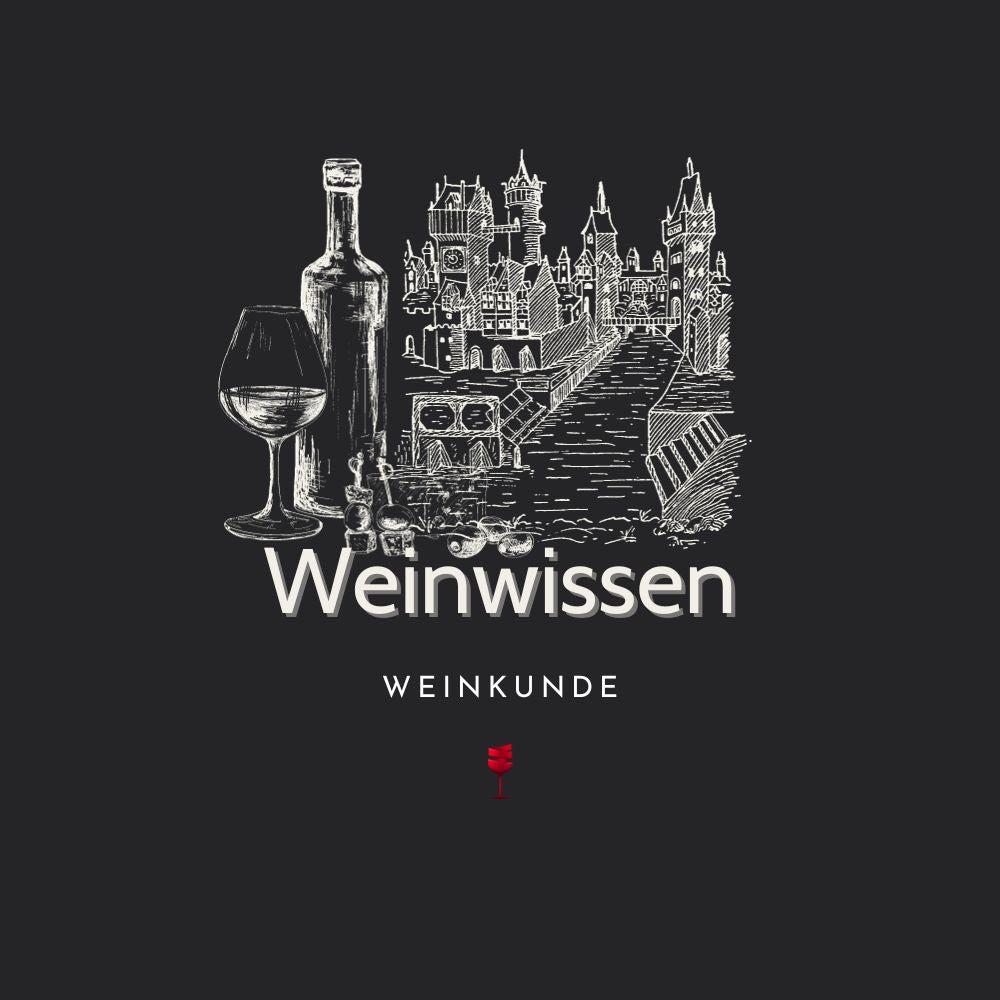 Weinwissen 101
