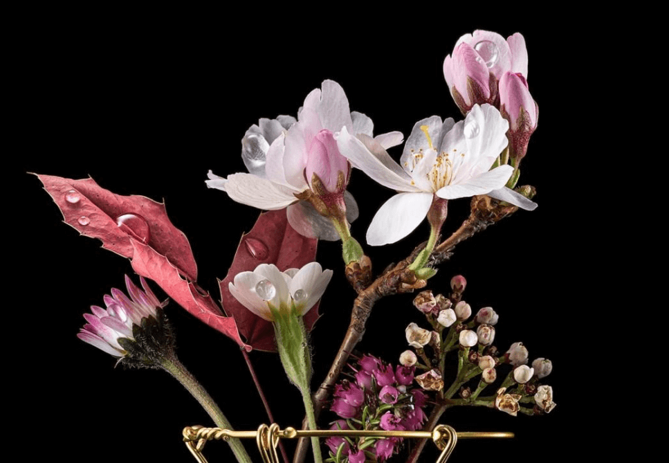 Weinpakete & Präsente