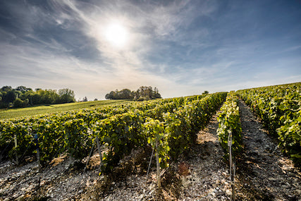 Laurent-Perrier