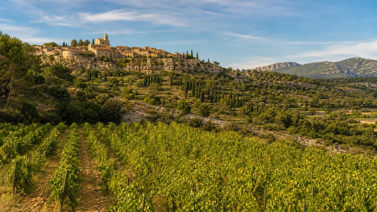 Weine aus dem Languedoc