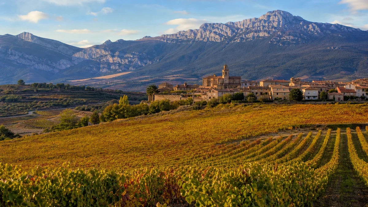 Weine aus Rioja