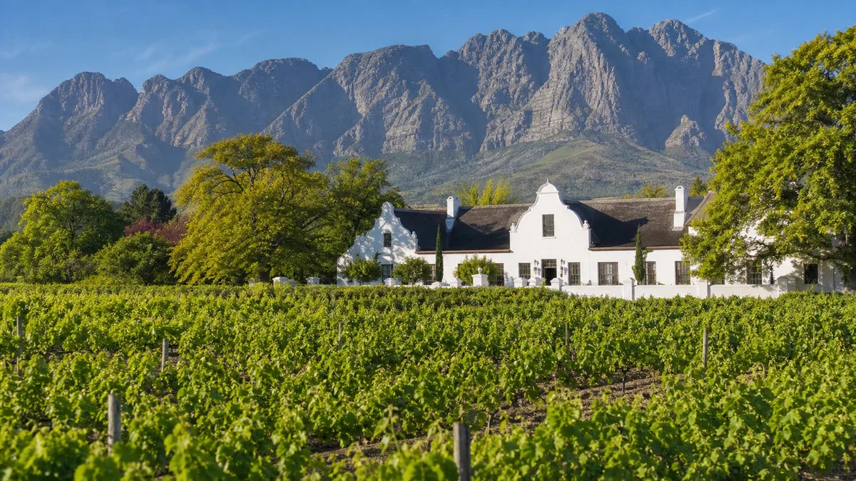 Weine aus Franschhoek