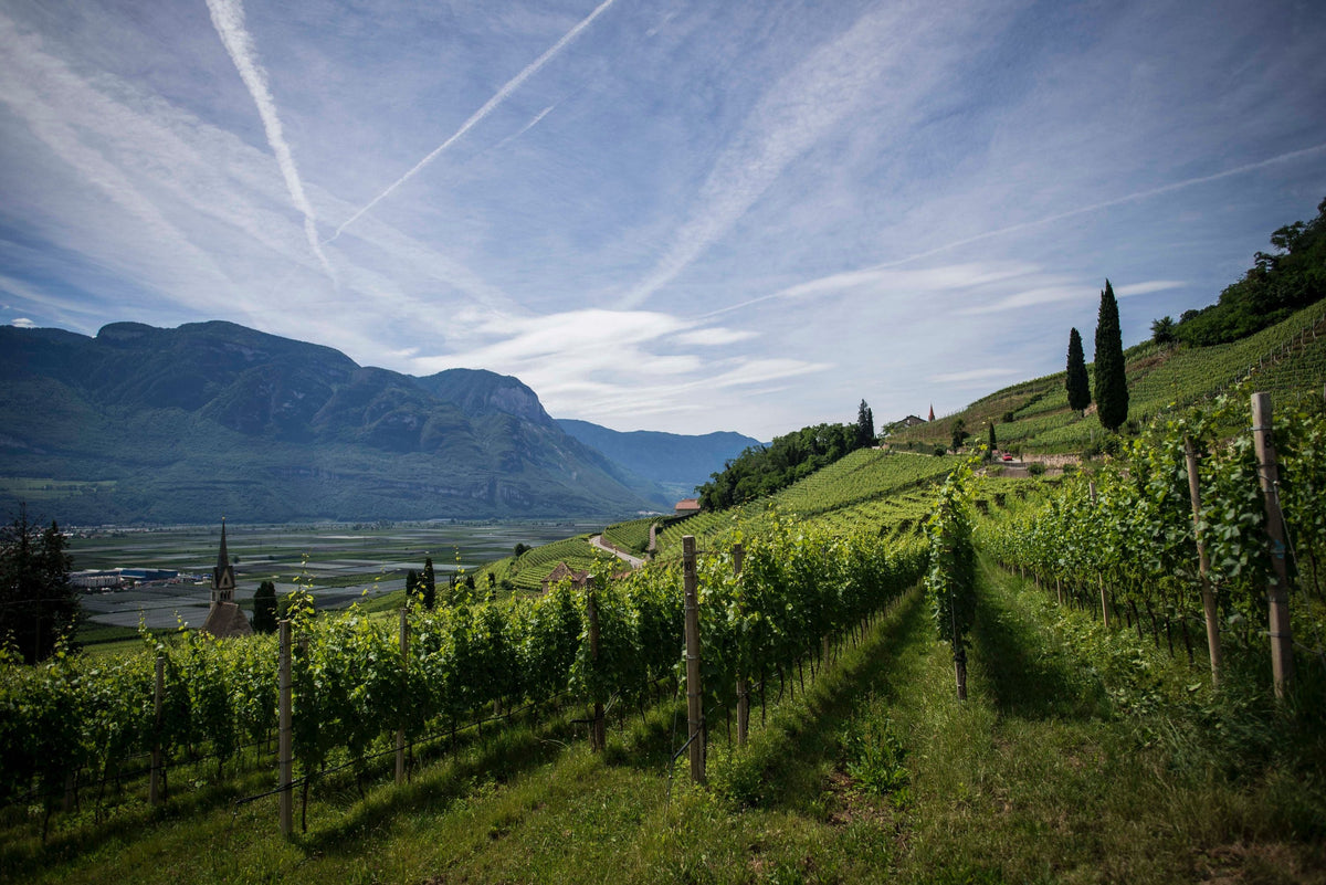 Weine aus Südtirol