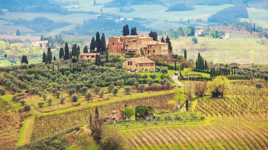 Weine aus Italien