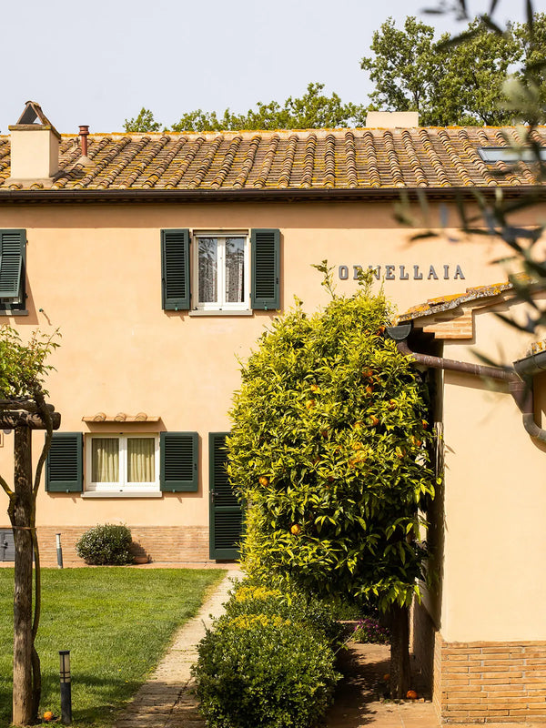 Weingut Ornellaia