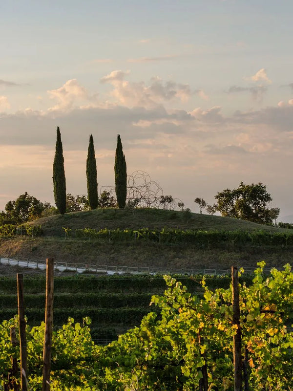 Weingut Livio Felluga