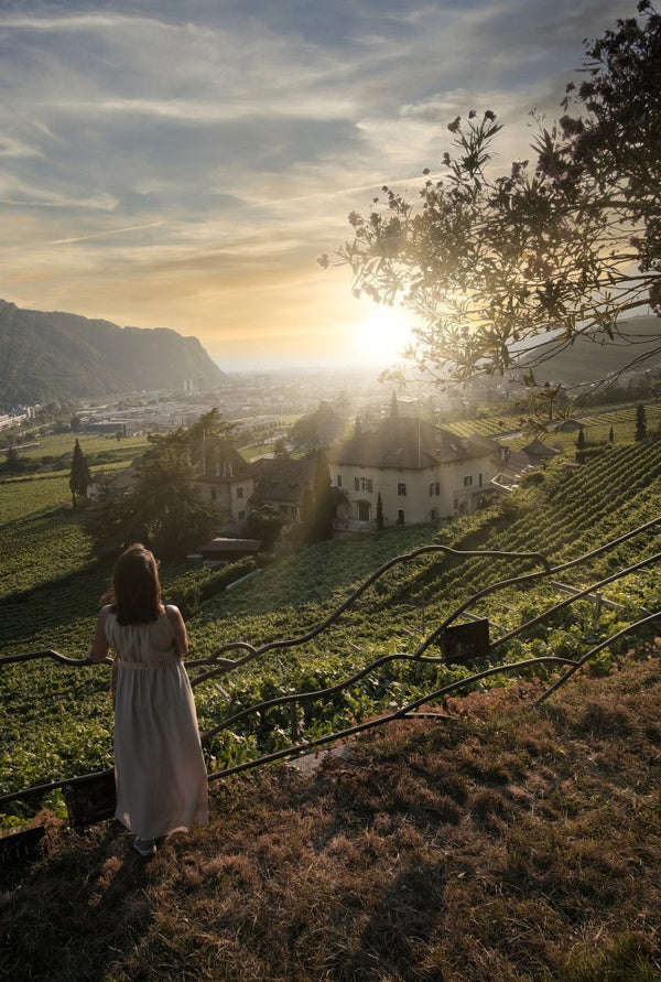 Weingut Ansitz Waldgries