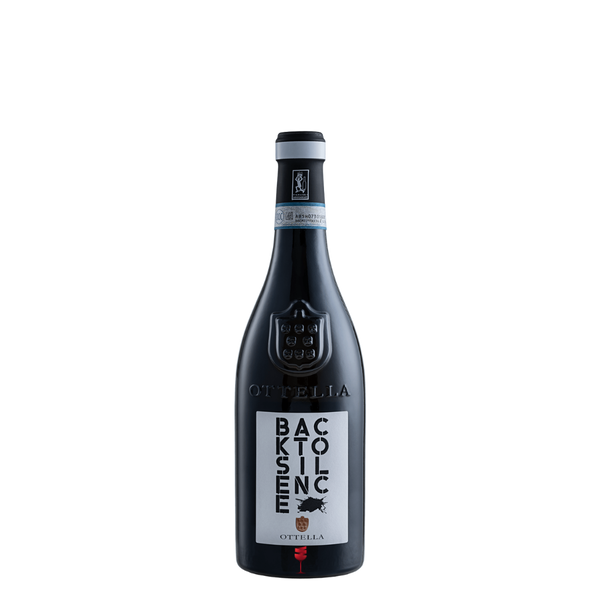 Back to Silence bei Magnum home & wine Collections