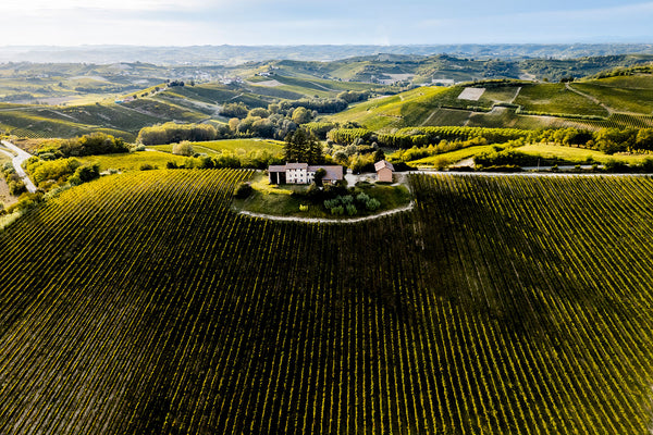 Weingut Bersano