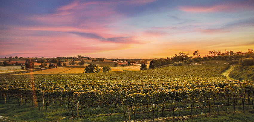 Cantina_Lombardia_Bertagna_bei magnum collections