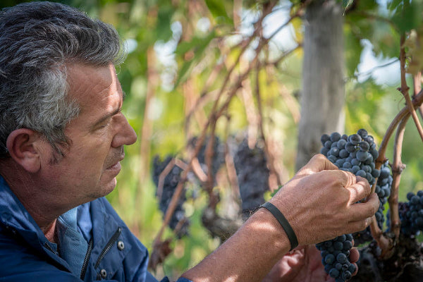 Casanova di Neri bei Magnum home & wine