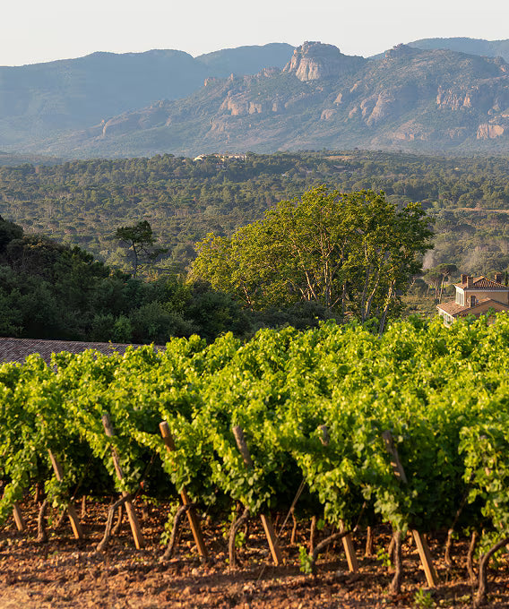 Château d`Esclans