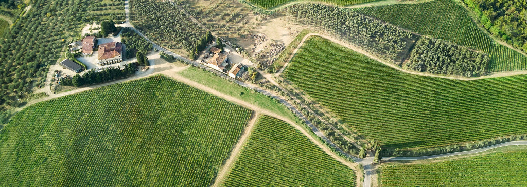 Collazzi weingut bei magnum home & wine