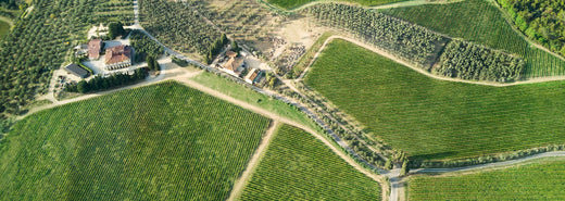 Collazzi weingut bei magnum home & wine