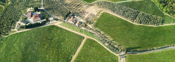 Weingut Collazzi
