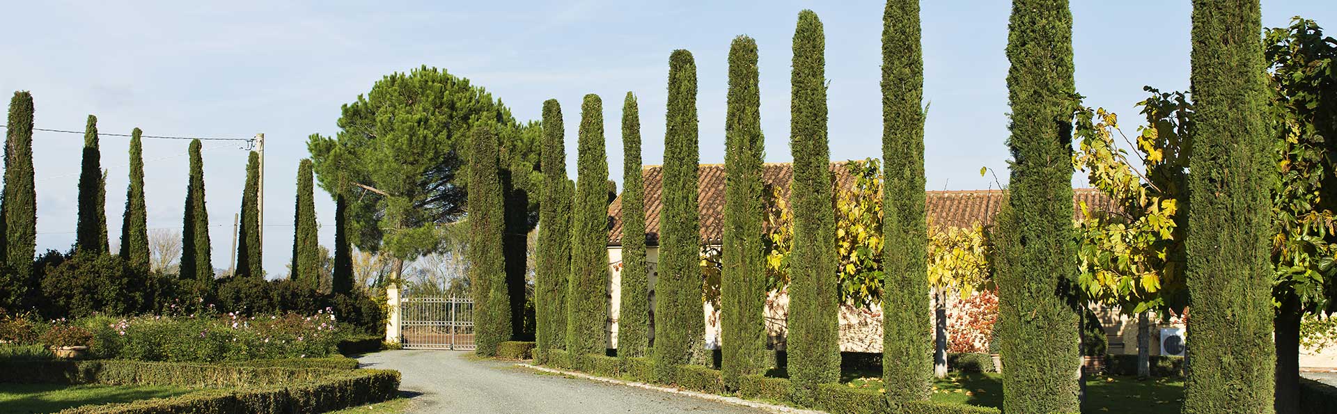 Fattoria Le Pupille