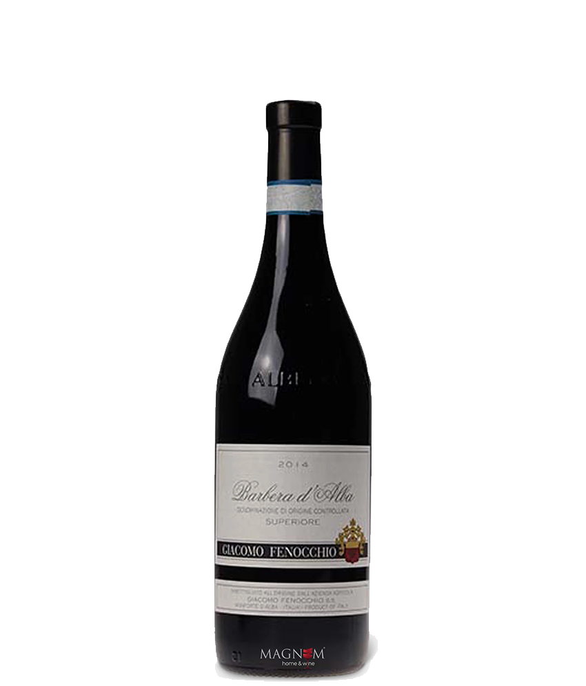 Giacomo Fenocchio Barbera d'Alba Superiore DOC 2015 · 0,75 l Normflasche · Magnum home & wine