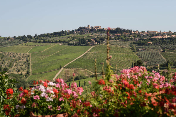 Weingut Fontodi