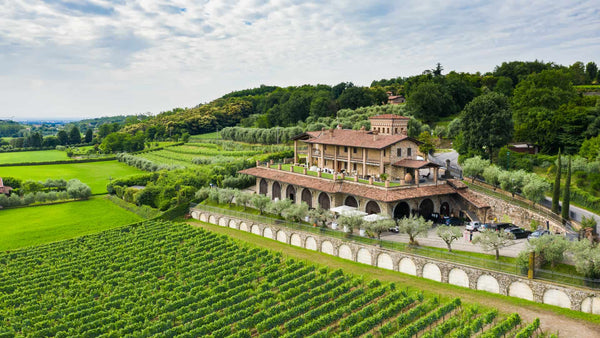 Weingut Cantina Barisèi