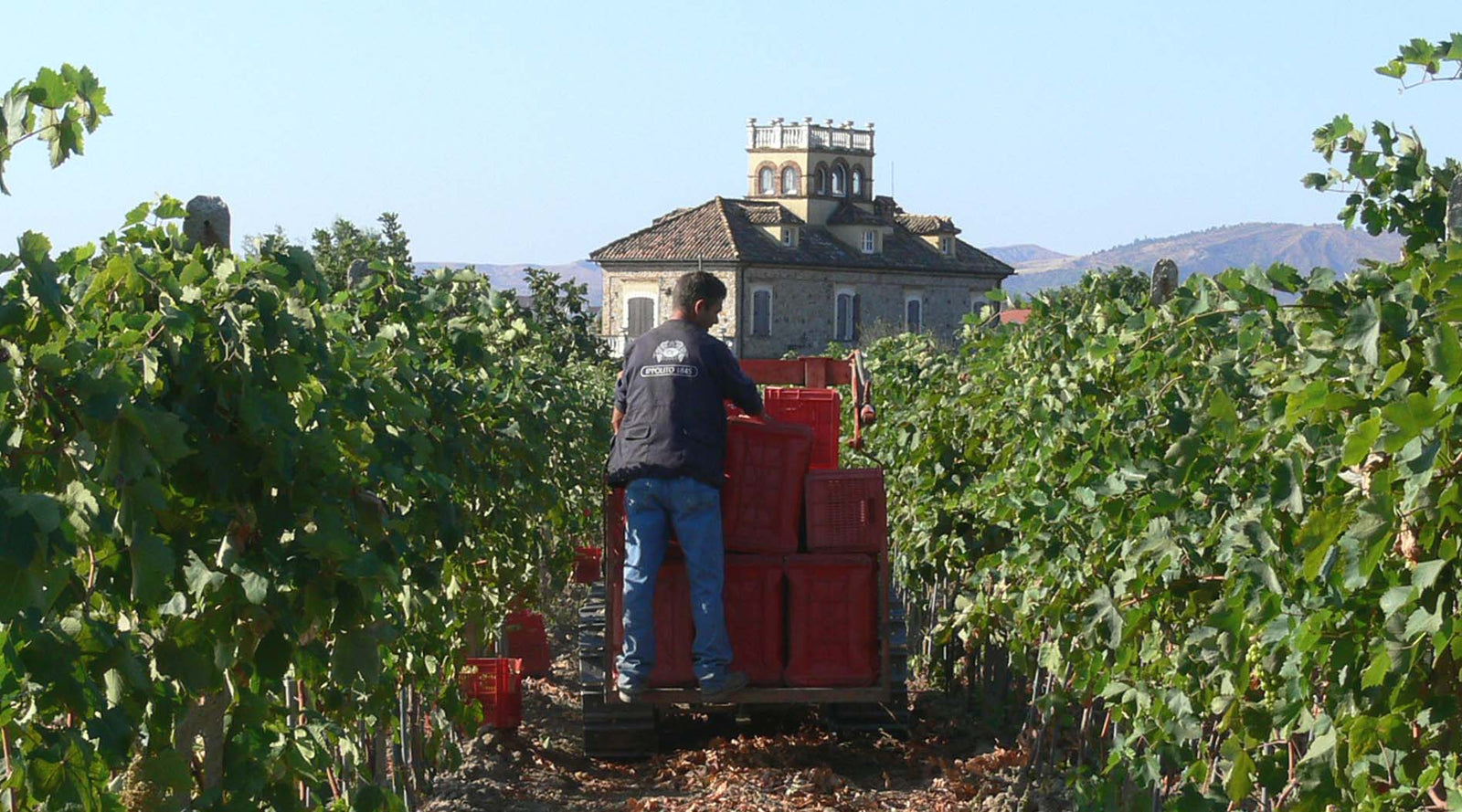 Ippolito_bei magnum home&wine