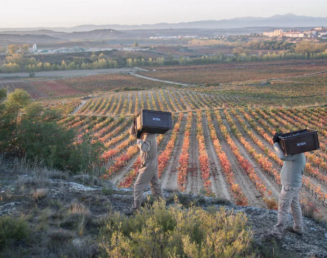 Bodegas Roda