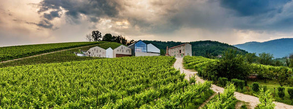 Weingut Sacchetto