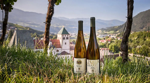 Weingut Stiftskellerei Neustift