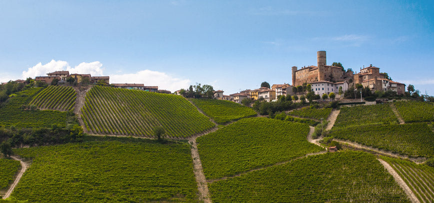 Tenuta Ascheri