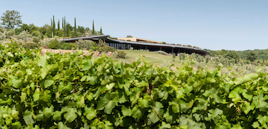 Weingut Tenuta dell' Ammiraglia