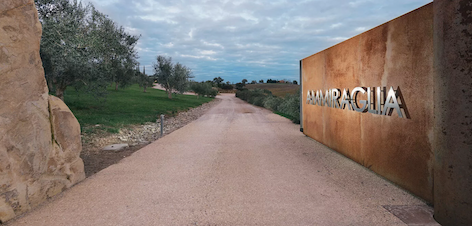 Tenuta dell' Ammiraglia