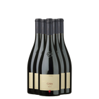 Terlan Gries Set 6x75CL bei Magnum home&wine
