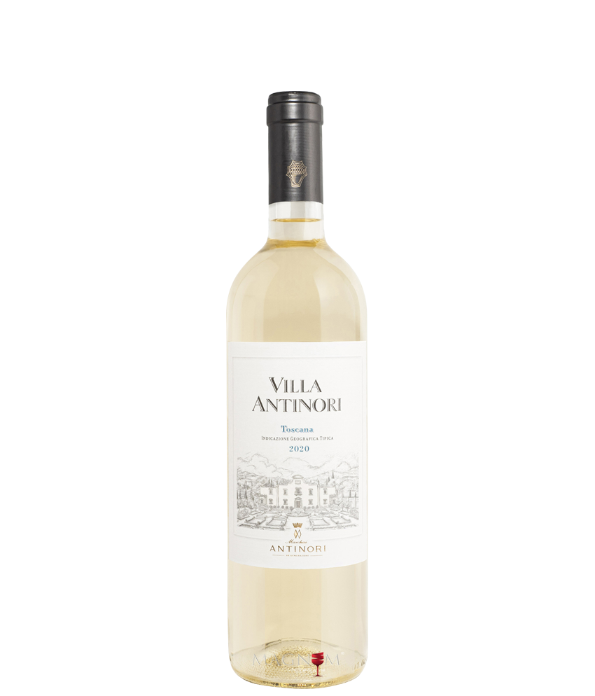 Villa Antnori Bianco bei Magnum home & wine Collections