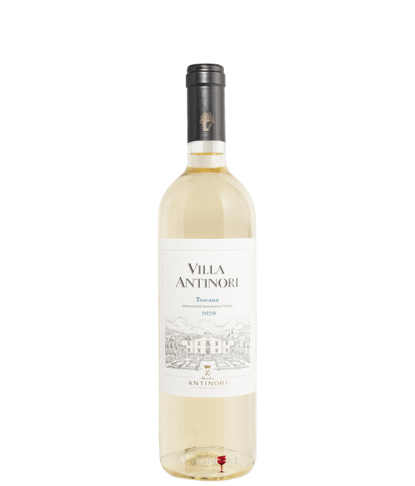 Villa Antnori Bianco bei Magnum home & wine Collections
