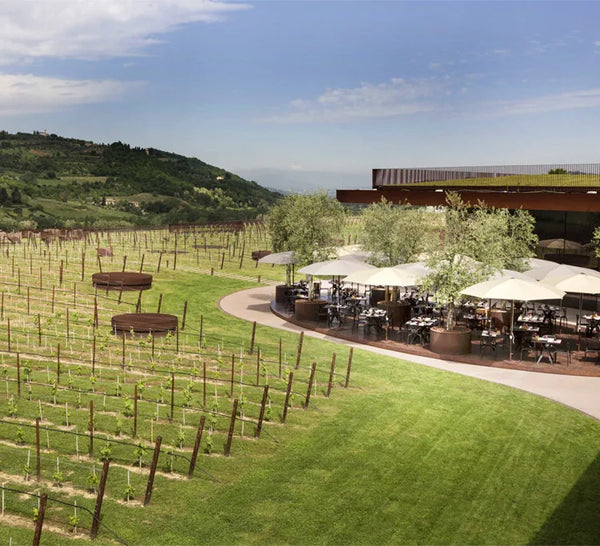 Weingut Marchesi Antinori